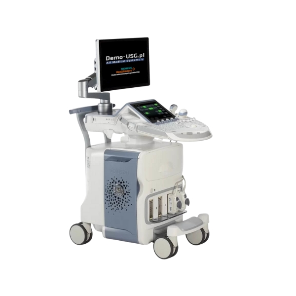 GE Healthcare Voluson E10